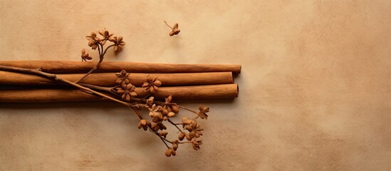 Poster - Winter ready organic dry cinnamon photo isolated pastel background Copy space