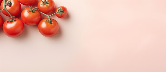 Poster - Tomatoes on isolated pastel background Copy space