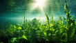 Thriving underwater crops reveal nature's resilience in aquatic ecosystems.