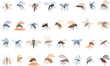 Mosquito icons set cartoon vector. Fly insect. Spray bug