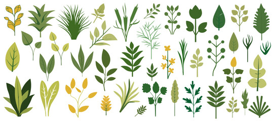 Wall Mural - abstract foliage collection. botanical futuristic elements in flat style isolated on white backgroun