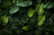 © Creative - Tropical leaves as background, top view. Green foliage texture