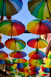 Fototapeta Tęcza - Lots of rainbow-colored umbrellas hanging above street. Decoration of streets made of umbrellas