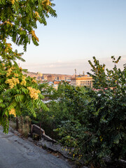 Wall Mural - view of city houses through foliage of trees on summer twilight from Sarmen street in Yerevan city, Armenia