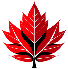 Wall Mural - red maple leaf clipart