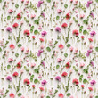 wild flower seamless pattern. summer meadow flowers on white background. sweet pea flowers