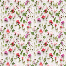 Wild Flower Seamless Pattern. Summer Meadow Flowers On White Background. Sweet Pea Flowers