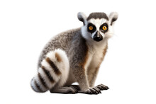Lemur Isolated On A Transparent PNG Background. Generative Ai