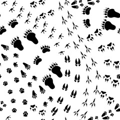 Wall Mural - Seamless pattern animal trail. Texture with wild animals footprints, repeating paw trace, following pet track. Bear step, fox print foot. Vector illustration