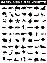 Collection Of Sea Animals Silhouettes
