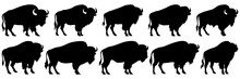 Bison Buffalo Silhouettes Set, Large Pack Of Vector Silhouette Design, Isolated White Background