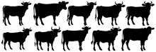 Cow Bull Farm Animals Silhouettes Set, Large Pack Of Vector Silhouette Design, Isolated White Background