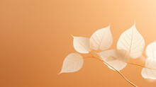 A Beautiful White Skeletal Leaves On A Light Orange Background With Circular Bokeh. Art Images That Express The Beauty And Purity Of Nature.