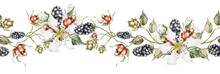 Semless Border Horizontal Twigs With Blackberries And Flowers Watercolor