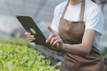 In the Industrial Greenhouse Two Agricultural Engineers Test Plants Health and Analyze Data with Tablet Computer.