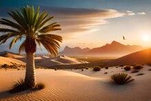 Desert Oasis In A Dry Dunes Circle With Tall Palm Tree
