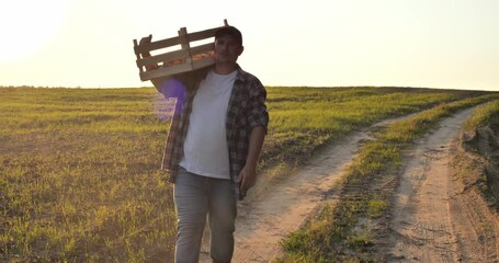 Wall Mural - A tired worker carries a box of potatoes on his shoulder along the road along the field in the rays of the setting sun A man works in the field and harvests potato vegetables. End of the working day.