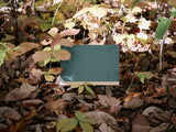 Fototapeta Sawanna - 秋の森の中に置かれたサインボード