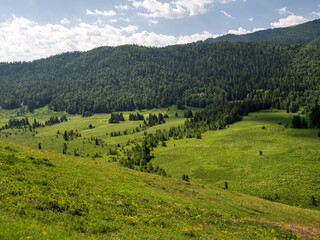 Wall Mural - The natural landscape of Xinjiang Hemu