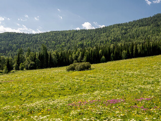 Wall Mural - The natural landscape of Xinjiang Hemu