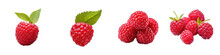 Red Raspberry Transparent Background