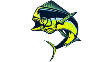 Mahi Mahi Emblem. Mahi Fishing Vector Illustration. Healthy Food. Saltwater Fishing. Dolphin Fish.