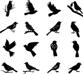 Sticker - set of birds silhouettes on white background vector