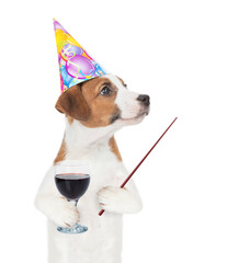 Poster - Funny Jack russell terrier puppy wearing party cap holds glass of red wine and points away on empty space. isolated on white background