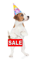 Poster - Jack russell terrier puppy  wearing a party cap shows signboard with labeled 