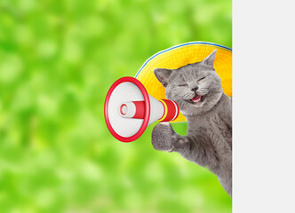 Poster - Happy cat wearing summer hat talks into megaphone and looks from behind empty white banner at summer park