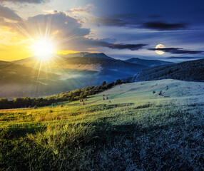 Wall Mural - haystacks on the agricultural field near the forest at the foot of the mountain with sun and moon at