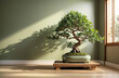 Bonsai Tree in a Vase on Table, inside Modern Living Room, using Generative ai