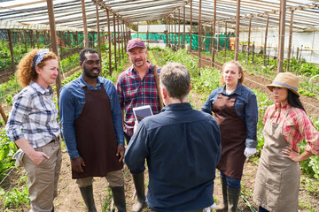 Multiracial farmers discussing over digital tablet at greenhouse