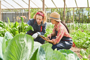 Female farmers discussing over digital tablet in organic farm