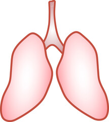 Sticker - Human Lungs Anatomy Flat Vector.