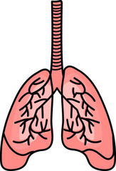 Sticker - Human Lungs Anatomy Flat Vector.