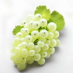 Fruit on a Plain White Background