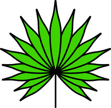 Flat Illustration Of Green Fan Palm Leaf Icon.