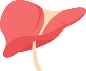 Sticker - Red Anatomy Liver Icon In Flat Style.