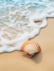Poster - vertical wallpaper. seashell.