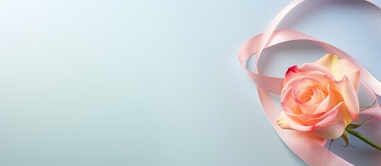 Aufkleber - Close up rose flower and multicolored rubber bands isolated pastel background Copy space