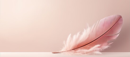 Aufkleber - Muted colors in closeup of feather macro photo with beautiful minimalistic background isolated pastel background Copy space