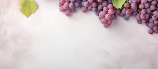 Poster - grapes are a type of fruit isolated pastel background Copy space