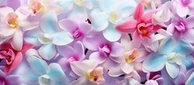 Seamless Pattern Of  Orchid Flowers Isolated Pastel Background Copy Space