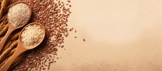 Poster - Brown rice and scoop isolated pastel background Copy space
