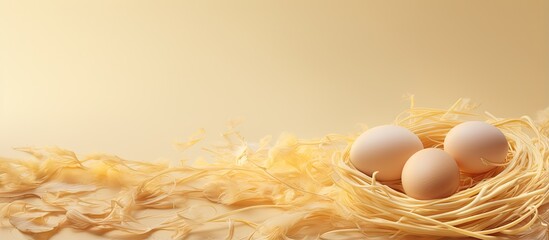 Poster - Italian pasta fettuccine nest captured on a isolated pastel background Copy space