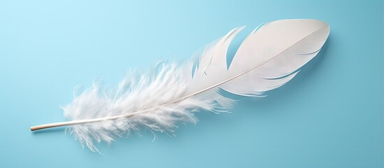 Aufkleber - Birds white feather on a isolated pastel background Copy space