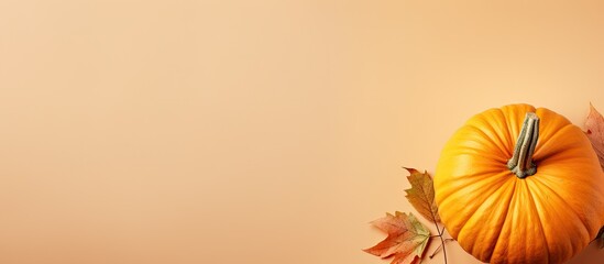 Poster - Autumn squash isolated pastel background Copy space