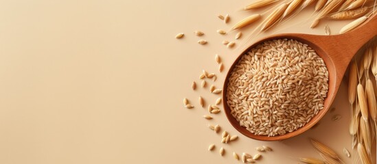 Poster - Brown rice and scoop isolated pastel background Copy space