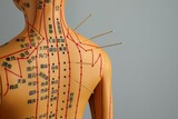 Fototapeta  - Acupuncture - alternative medicine. Human model with needles in shoulder against grey background, space for text